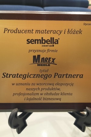 Strategiczny Partner - styczeń 2021